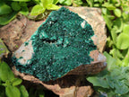 Natural Crystalline Malachite Specimens x 6 From Tenke Fungurume, Congo - Toprock Gemstones and Minerals 