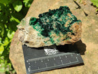 Natural Crystalline Malachite Specimens x 6 From Tenke Fungurume, Congo - Toprock Gemstones and Minerals 