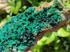 Natural Crystalline Malachite Specimens x 6 From Tenke Fungurume, Congo - Toprock Gemstones and Minerals 