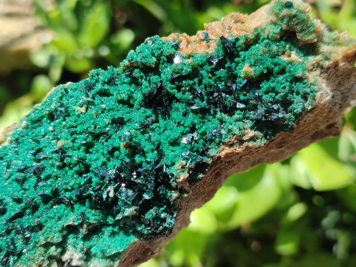 Natural Crystalline Malachite Specimens x 6 From Tenke Fungurume, Congo