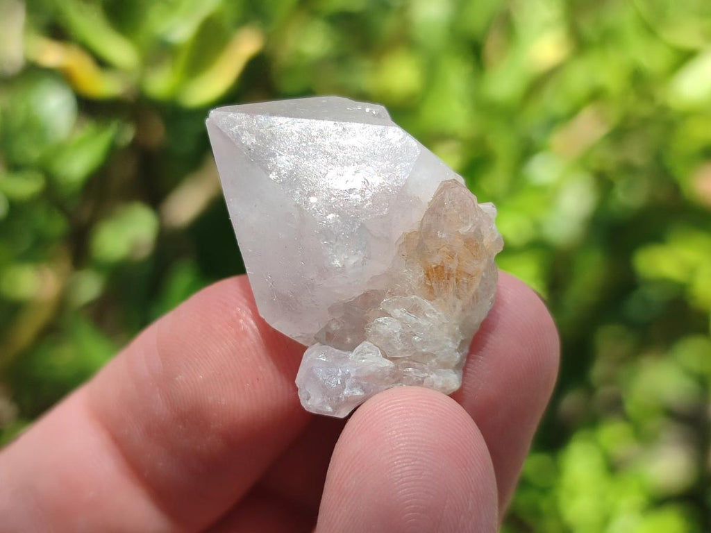 Natural White Spirit Quartz Crystals x 70 From Boekenhouthoek, South Africa