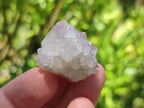 Natural White Spirit Quartz Crystals x 70 From Boekenhouthoek, South Africa