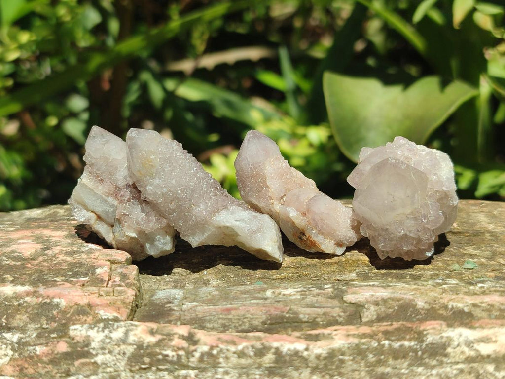 Natural White Spirit Quartz Crystals x 70 From Boekenhouthoek, South Africa