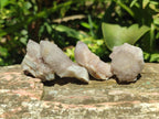 Natural White Spirit Quartz Crystals x 70 From Boekenhouthoek, South Africa