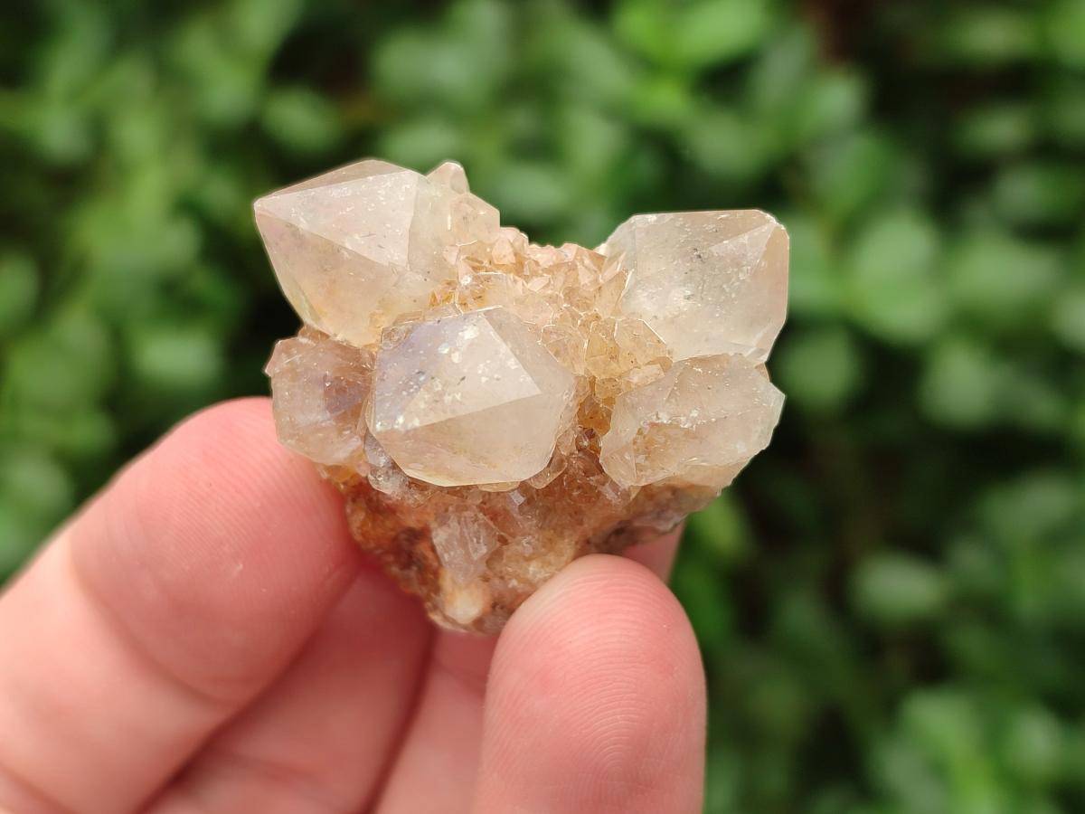 Natural White Spirit Quartz Crystals x 70 From Boekenhouthoek, South Africa