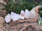 Natural White Spirit Quartz Crystals x 70 From Boekenhouthoek, South Africa