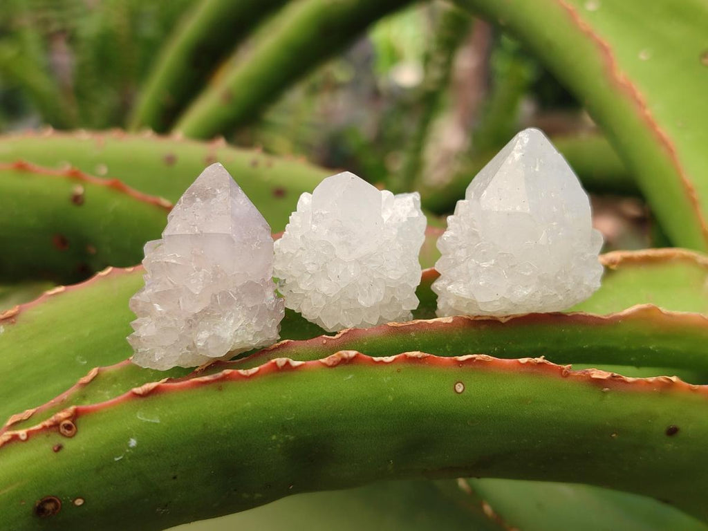 Natural White Spirit Quartz Crystals x 70 From Boekenhouthoek, South Africa