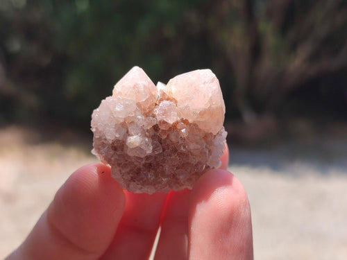 Natural White Spirit Quartz Crystals x 70 From Boekenhouthoek, South Africa