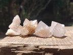 Natural White Spirit Quartz Crystals x 70 From Boekenhouthoek, South Africa