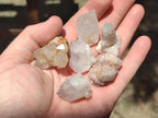 Natural White Spirit Quartz Crystals x 70 From Boekenhouthoek, South Africa