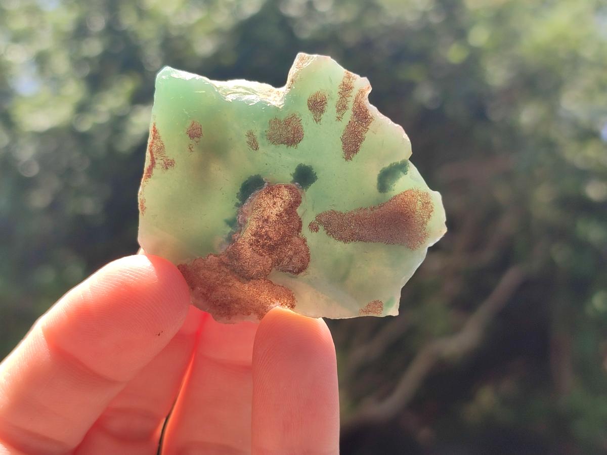 Polished On One Side Mtorolite Chrysoprase Plates x 48 From Mutorashanga, Zimbabwe