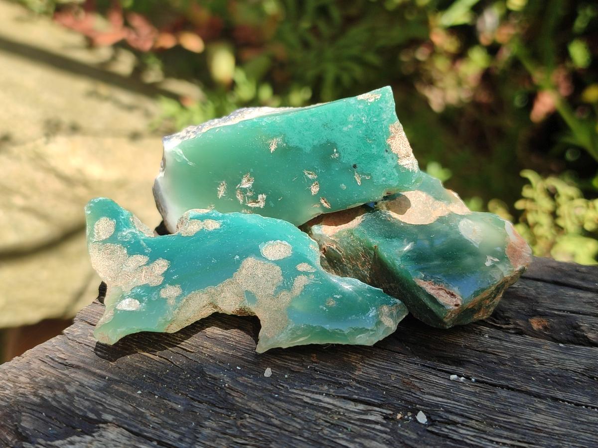 Polished On One Side Mtorolite Chrysoprase Plates x 48 From Mutorashanga, Zimbabwe