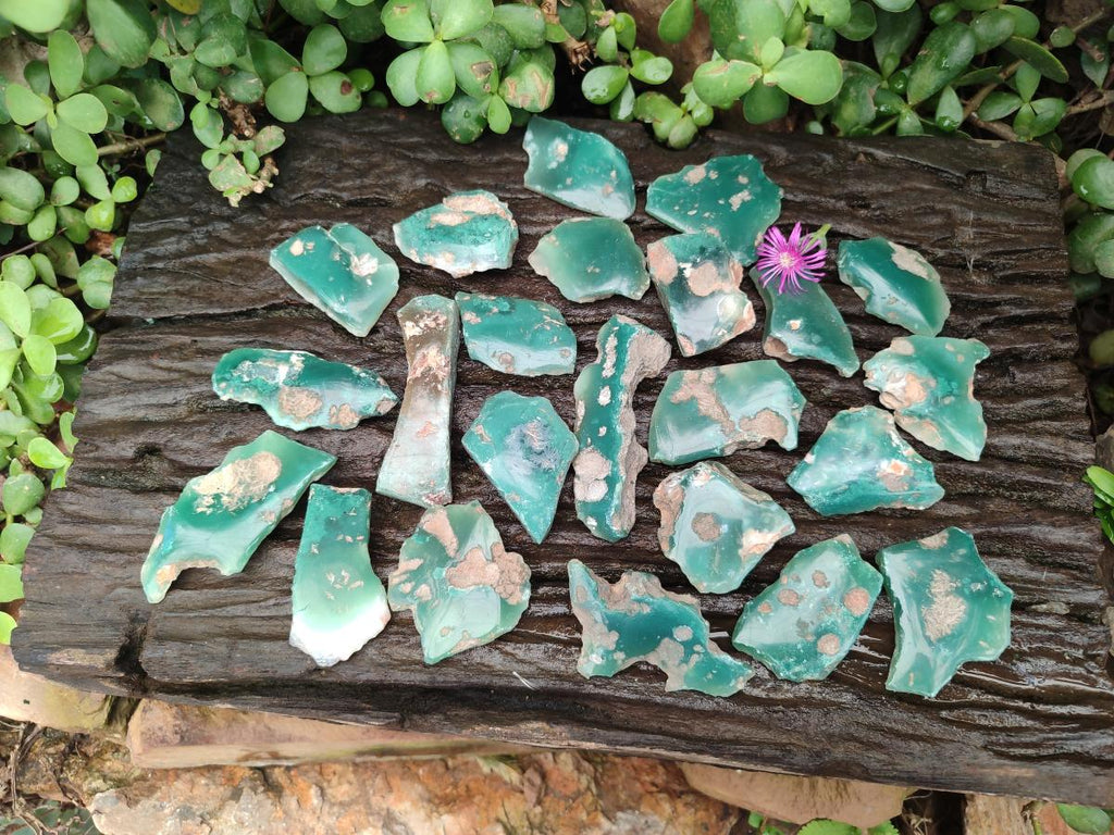Polished On One Side Mtorolite Chrysoprase Plates x 48 From Mutorashanga, Zimbabwe