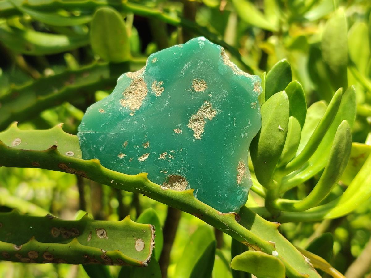 Polished On One Side Mtorolite Chrysoprase Plates x 48 From Mutorashanga, Zimbabwe