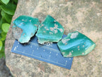Polished On One Side Mtorolite Chrysoprase Plates x 48 From Mutorashanga, Zimbabwe