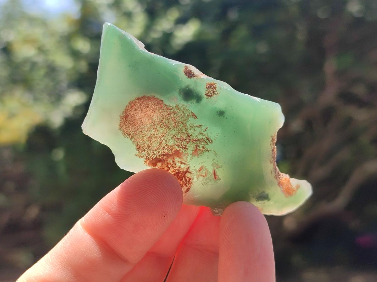 Polished On One Side Mtorolite Chrysoprase Plates x 48 From Mutorashanga, Zimbabwe