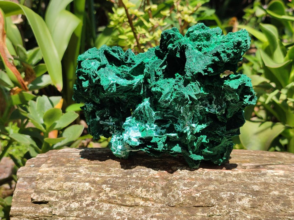 Natural Large Rare Malachite Pseudomorph Specimen x 1 From Kolwezi, Congo
