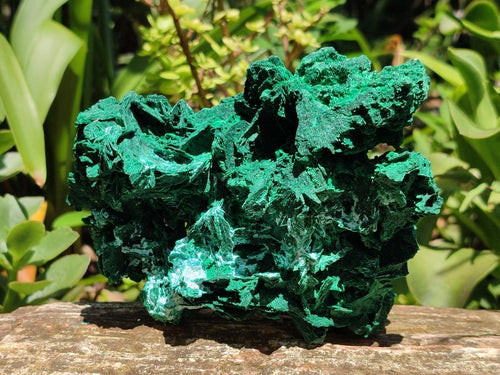 Natural Large Rare Malachite Pseudomorph Specimen x 1 From Kolwezi, Congo - Toprock Gemstones and Minerals 