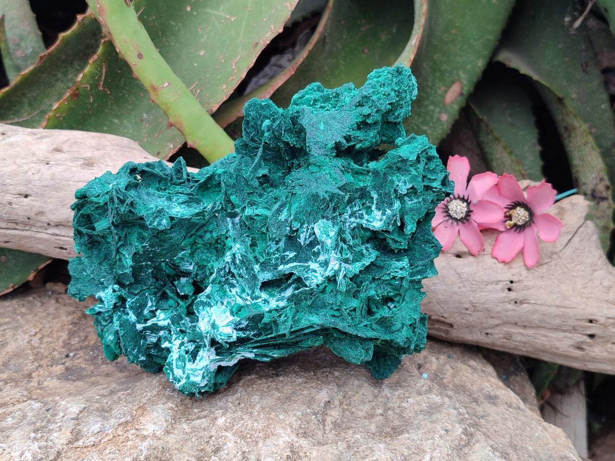 Natural Large Rare Malachite Pseudomorph Specimen x 1 From Kolwezi, Congo