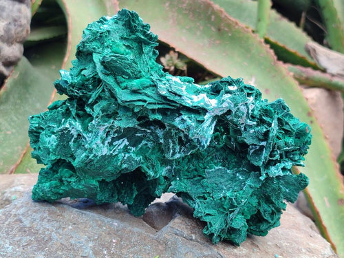 Natural Large Rare Malachite Pseudomorph Specimen x 1 From Kolwezi, Congo - Toprock Gemstones and Minerals 