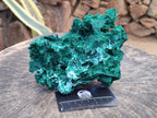 Natural Large Rare Malachite Pseudomorph Specimen x 1 From Kolwezi, Congo