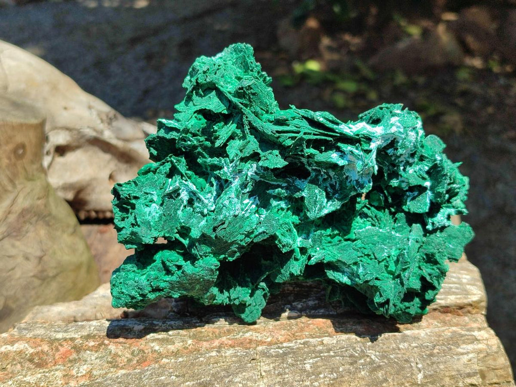 Natural Large Rare Malachite Pseudomorph Specimen x 1 From Kolwezi, Congo