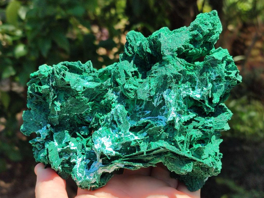 Natural Large Rare Malachite Pseudomorph Specimen x 1 From Kolwezi, Congo