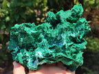 Natural Large Rare Malachite Pseudomorph Specimen x 1 From Kolwezi, Congo