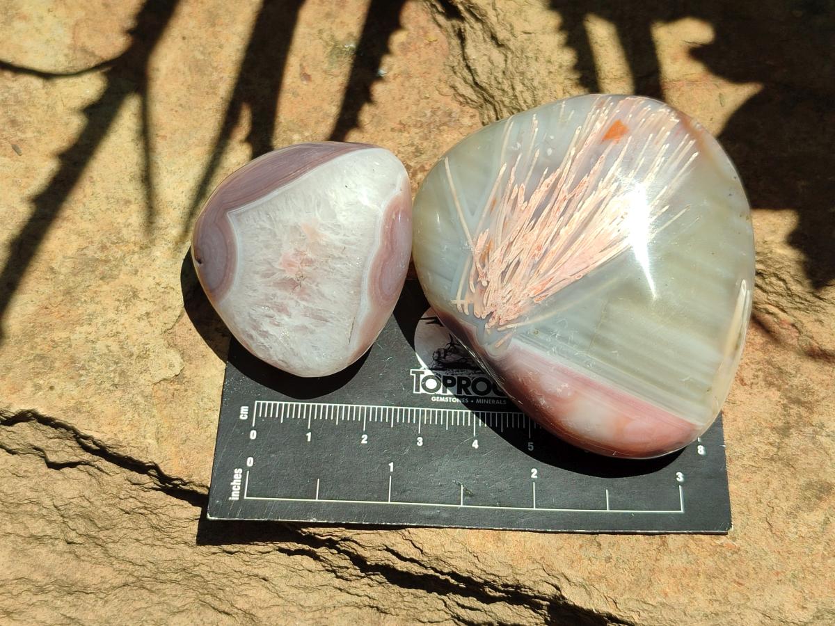 Polished Red Shashe River Agate Galets x 12 From Shashe River, Zimbabwe - Toprock Gemstones and Minerals 