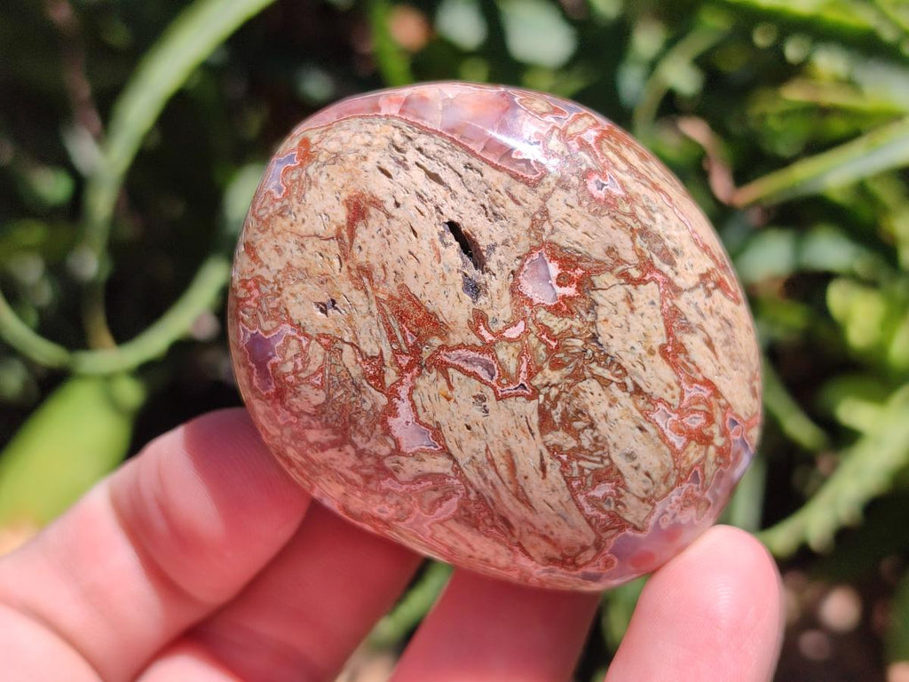 Polished Red Shashe River Agate Galets x 12 From Shashe River, Zimbabwe - Toprock Gemstones and Minerals 