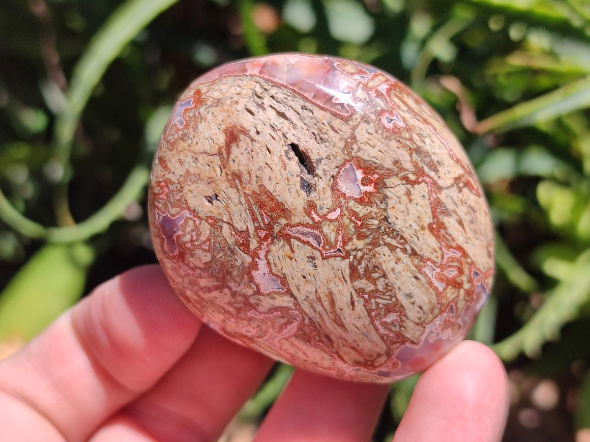 Polished Red Shashe River Agate Galets x 12 From Shashe River, Zimbabwe - Toprock Gemstones and Minerals 