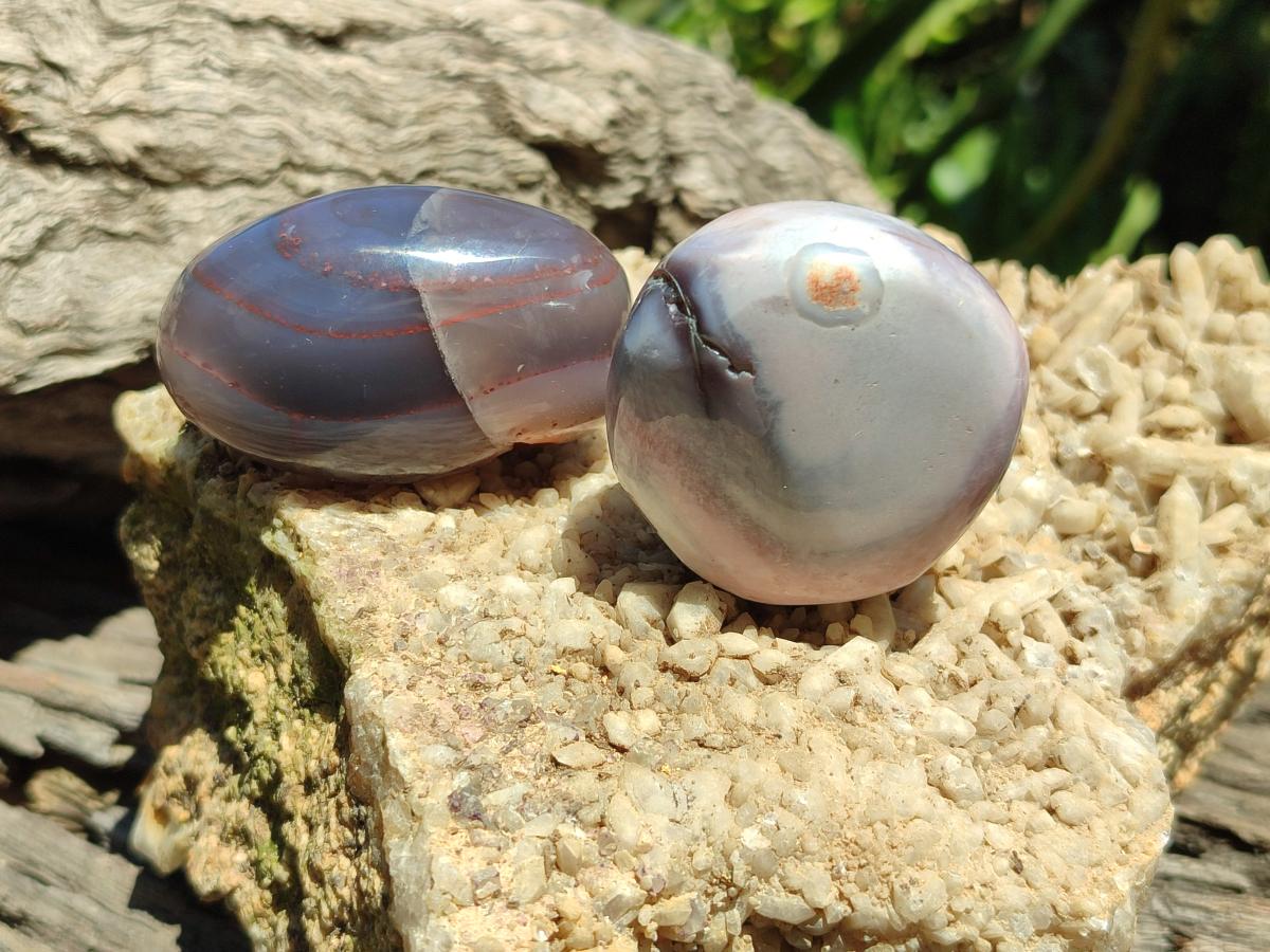 Polished Red Shashe River Agate Galets x 12 From Shashe River, Zimbabwe - Toprock Gemstones and Minerals 