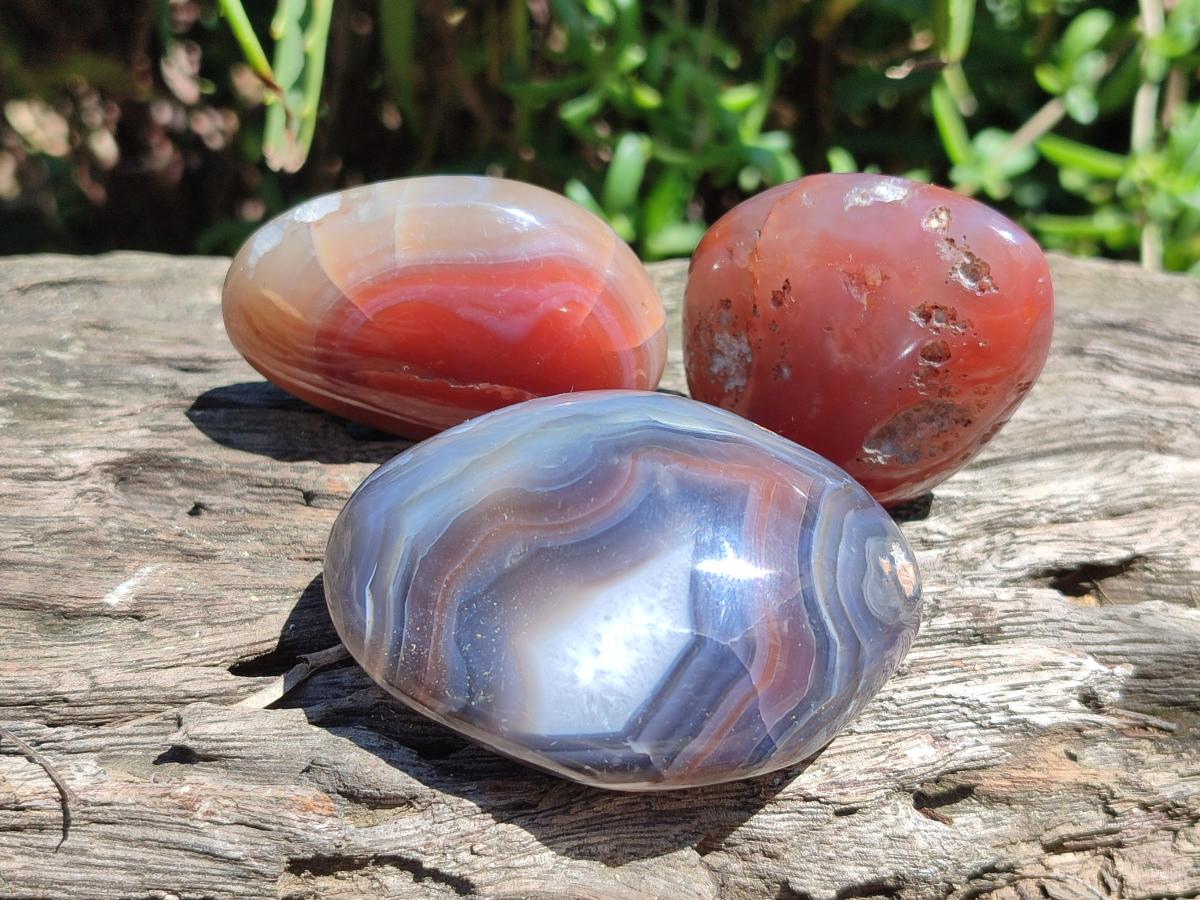 Polished Red Shashe River Agate Galets x 12 From Shashe River, Zimbabwe - Toprock Gemstones and Minerals 