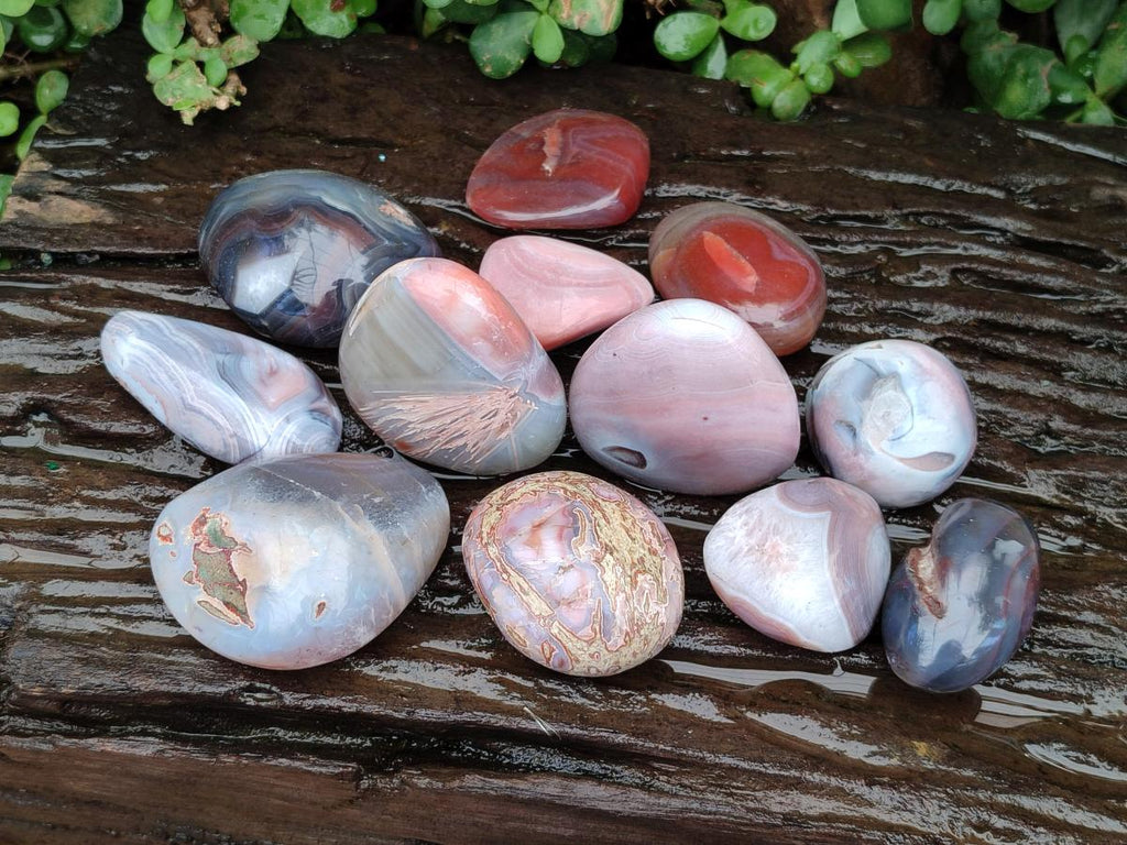 Polished Red Shashe River Agate Galets x 12 From Shashe River, Zimbabwe - Toprock Gemstones and Minerals 
