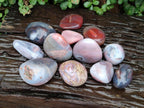 Polished Red Shashe River Agate Galets x 12 From Shashe River, Zimbabwe - Toprock Gemstones and Minerals 