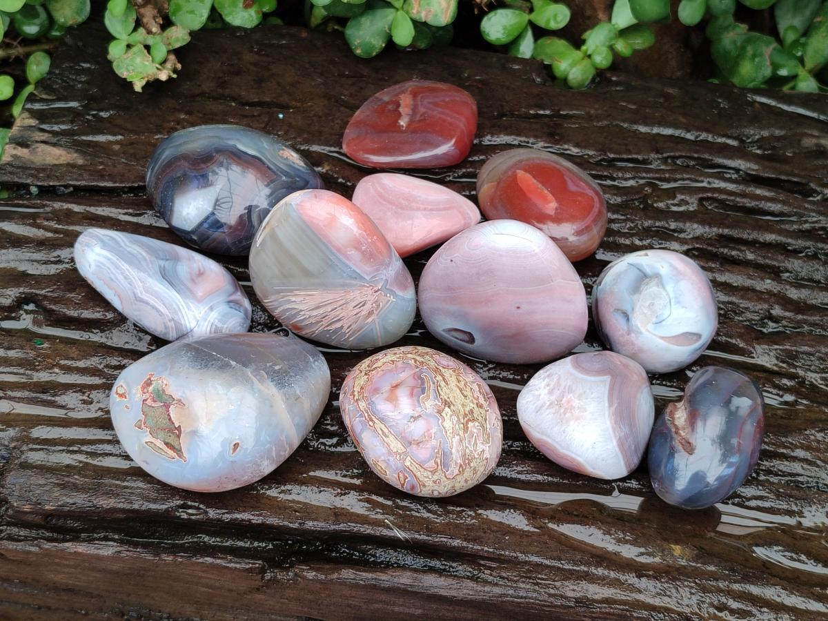 Polished Red Shashe River Agate Galets x 12 From Shashe River, Zimbabwe - Toprock Gemstones and Minerals 