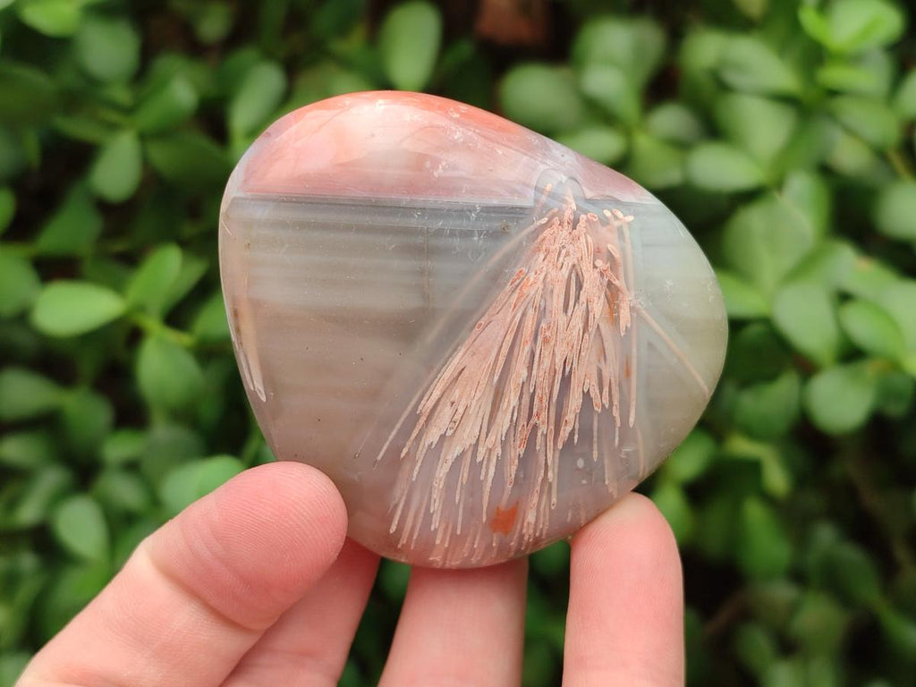 Polished Red Shashe River Agate Galets x 12 From Shashe River, Zimbabwe - Toprock Gemstones and Minerals 