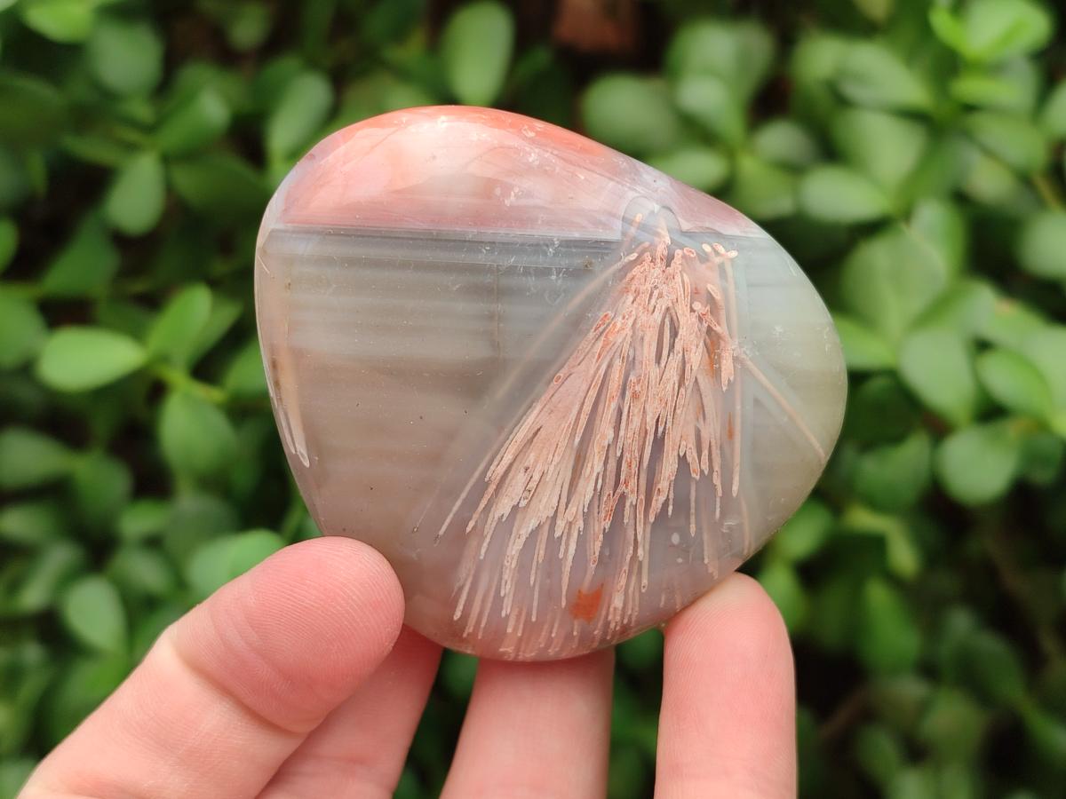 Polished Red Shashe River Agate Galets x 12 From Shashe River, Zimbabwe - Toprock Gemstones and Minerals 