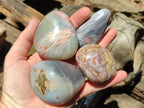 Polished Red Shashe River Agate Galets x 12 From Shashe River, Zimbabwe - Toprock Gemstones and Minerals 