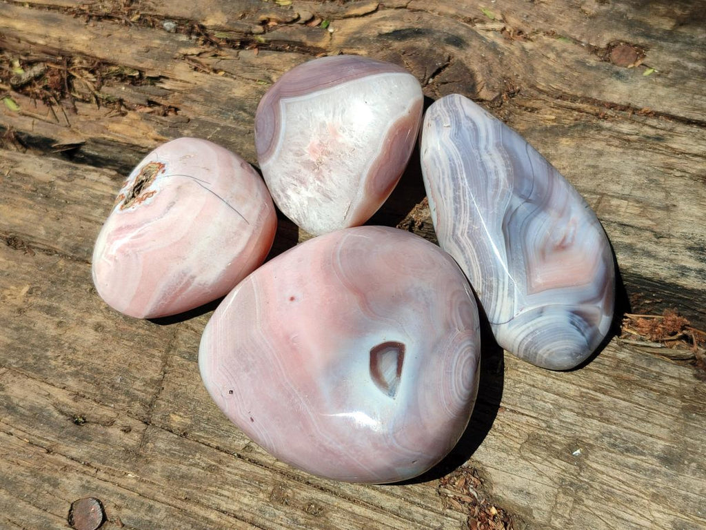 Polished Red Shashe River Agate Galets x 12 From Shashe River, Zimbabwe - Toprock Gemstones and Minerals 