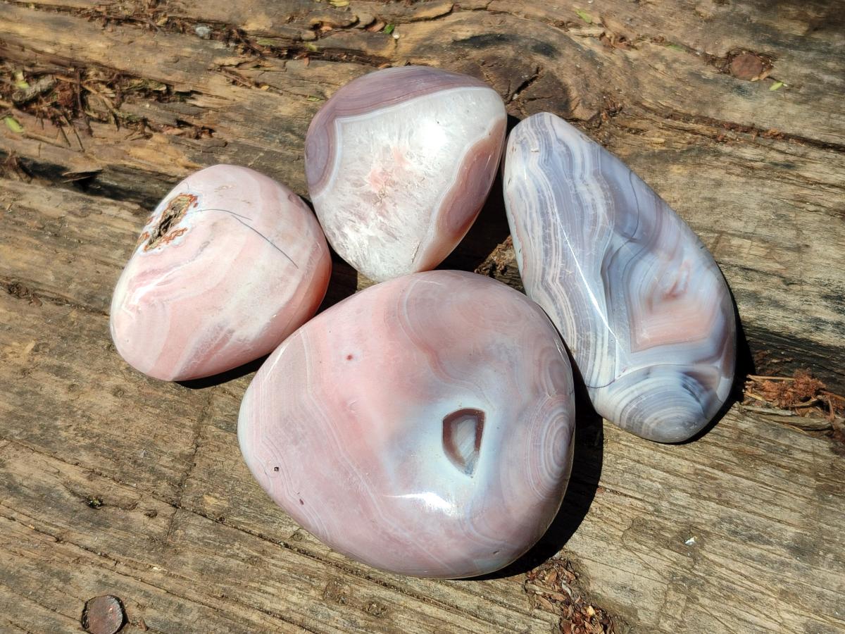 Polished Red Shashe River Agate Galets x 12 From Shashe River, Zimbabwe - Toprock Gemstones and Minerals 