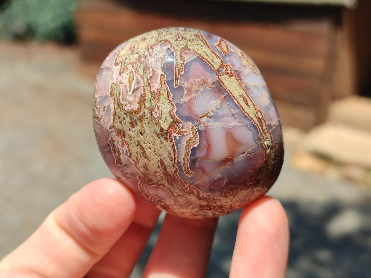 Polished Red Shashe River Agate Galets x 12 From Shashe River, Zimbabwe - Toprock Gemstones and Minerals 