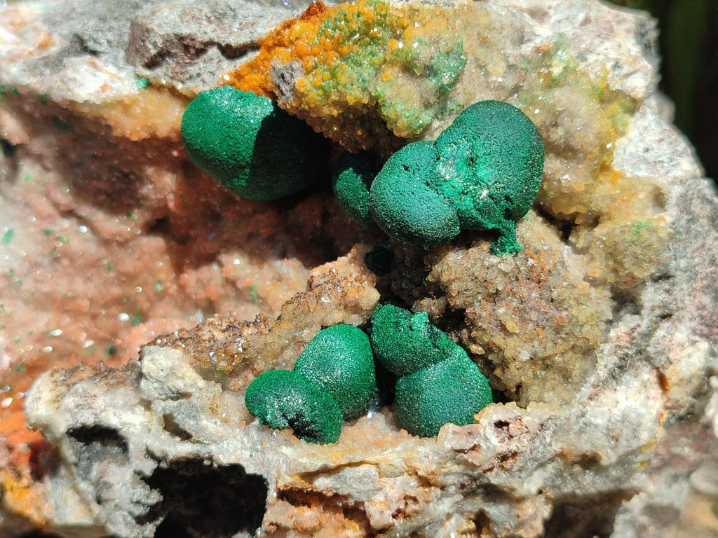 Natural Large Drusy Quartz Coated Ball Malachite on Dolomite x 1 From Mindingi Mine, Congo - Toprock Gemstones and Minerals 
