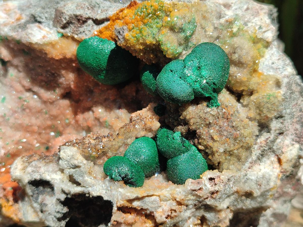 Natural Large Drusy Quartz Coated Ball Malachite on Dolomite x 1 From Mindingi Mine, Congo - Toprock Gemstones and Minerals 