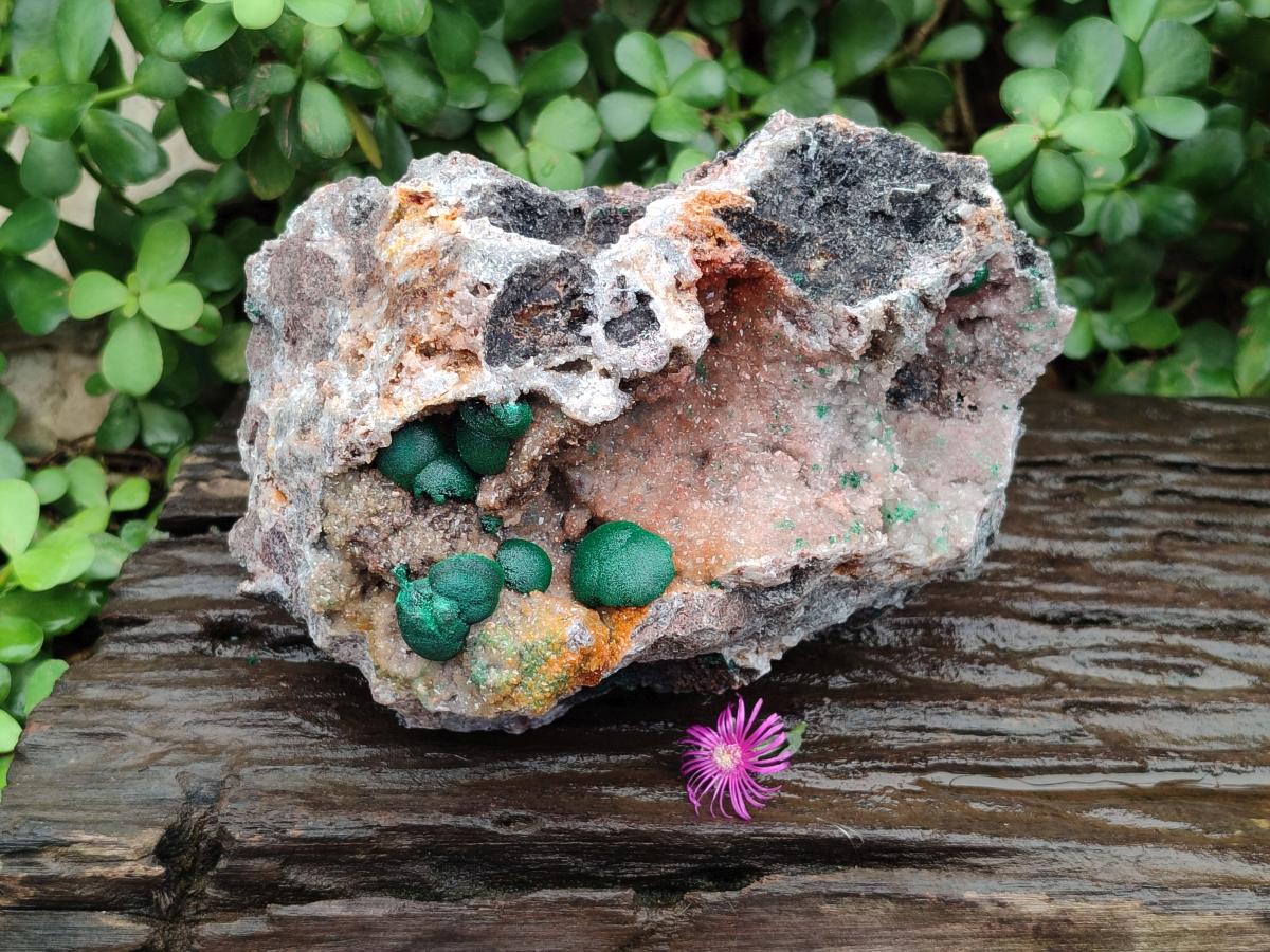 Natural Large Drusy Quartz Coated Ball Malachite on Dolomite x 1 From Mindingi Mine, Congo