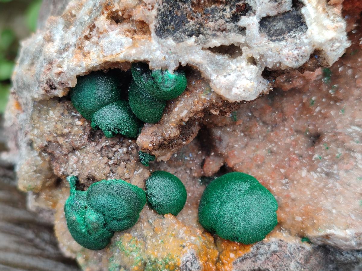 Natural Large Drusy Quartz Coated Ball Malachite on Dolomite x 1 From Mindingi Mine, Congo - Toprock Gemstones and Minerals 