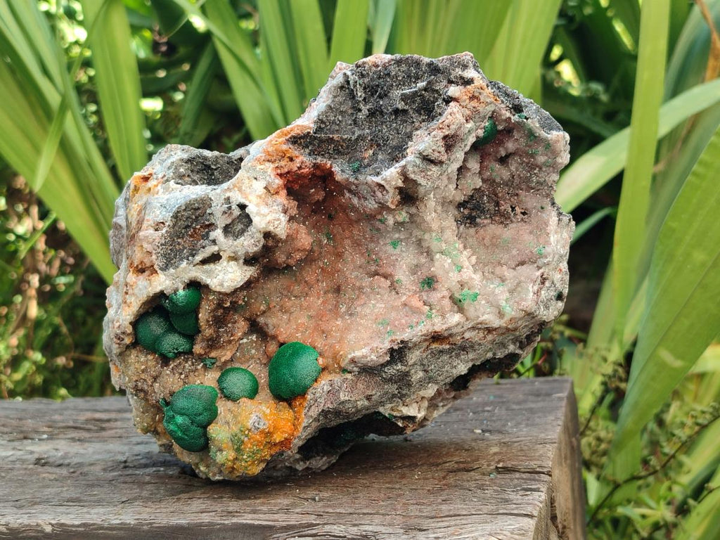 Natural Large Drusy Quartz Coated Ball Malachite on Dolomite x 1 From Mindingi Mine, Congo - Toprock Gemstones and Minerals 
