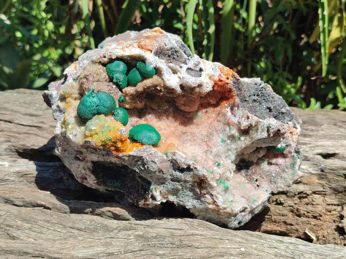 Natural Large Drusy Quartz Coated Ball Malachite on Dolomite x 1 From Mindingi Mine, Congo - Toprock Gemstones and Minerals 