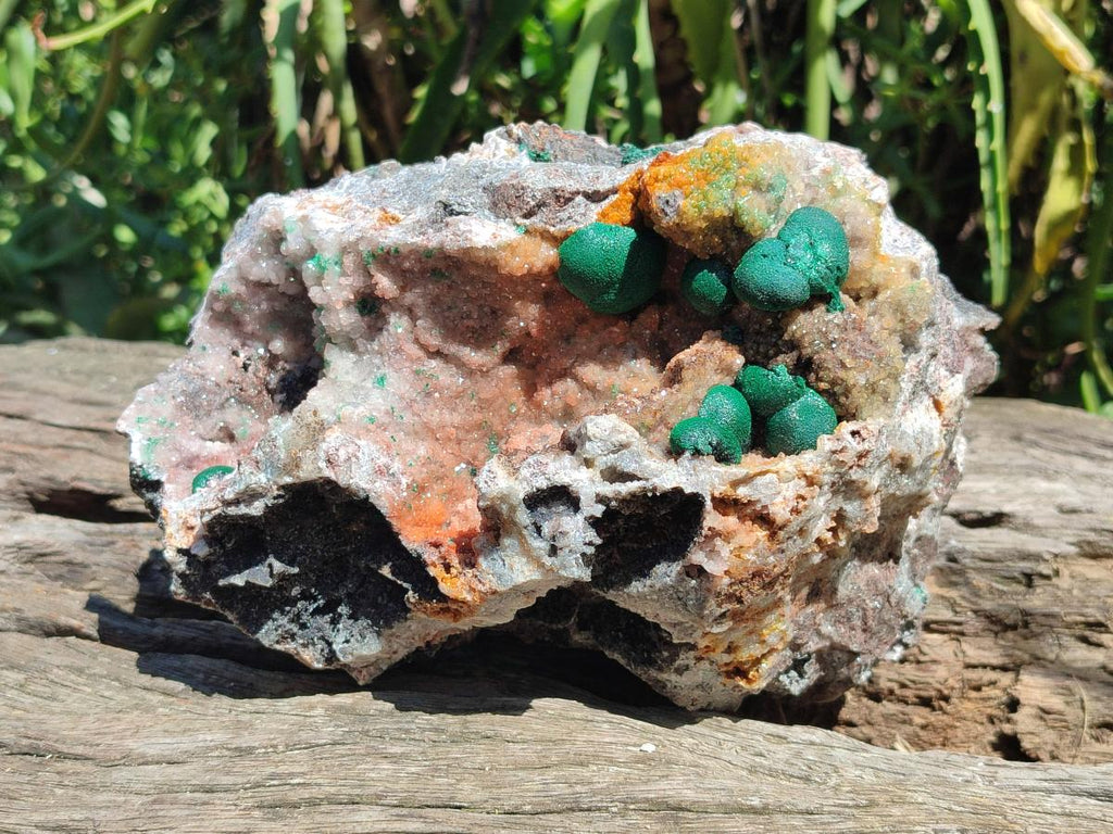 Natural Large Drusy Quartz Coated Ball Malachite on Dolomite x 1 From Mindingi Mine, Congo - Toprock Gemstones and Minerals 