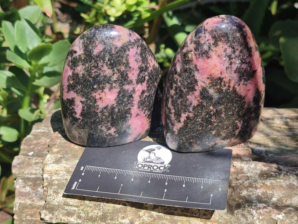 Polished Rhodonite Standing Free Forms x 6 From Ambindavato, Madagascar
